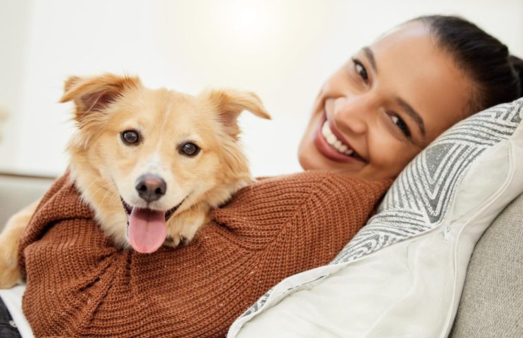 Tout ce qu'il faut savoir avant de souscrire une assurance pour votre chiot